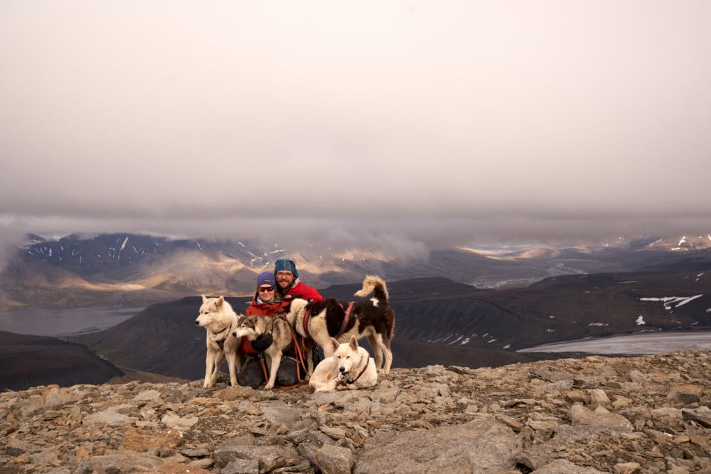 Husky-Tour in Norwegen, Alaskan Huskys im wilden Fjell, unvergessliches Erlebnis für Natur- und Tierliebhaber.