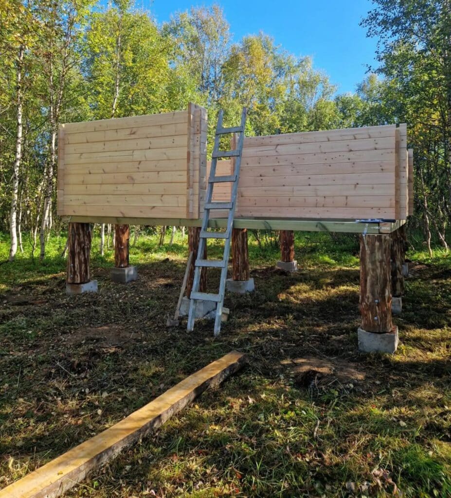 Rohbau der Holzhütte für Guide Meike auf Pfählen im Birkenwald