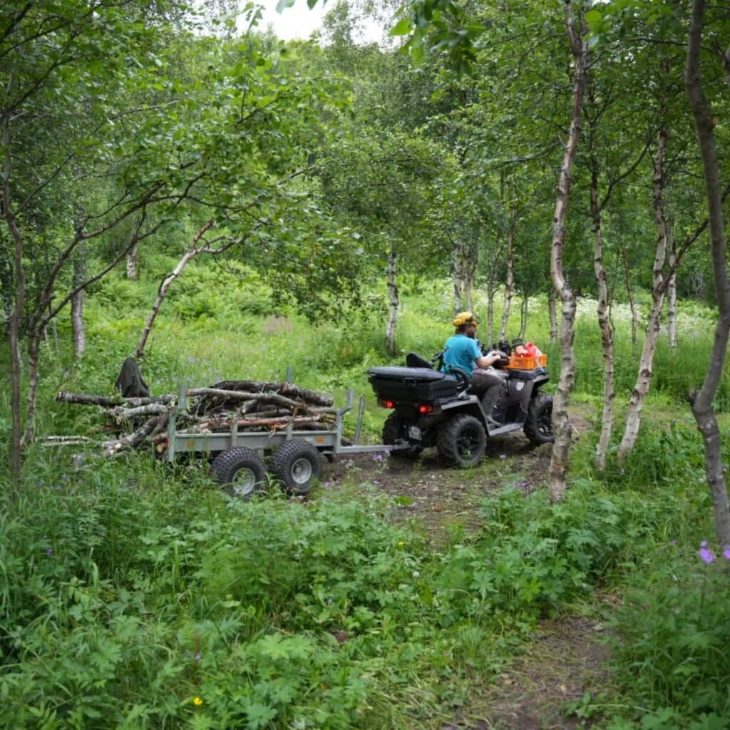 Ein Quad mit Anhänger bringt die Stämme aus dem Birkenwald